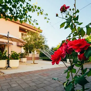 Relja Zadar