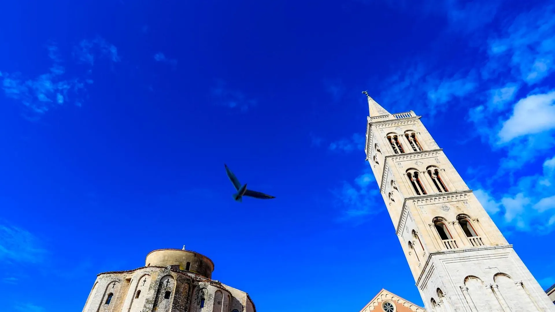 Apartamento Green Violet Ryanair'S Special Zadar