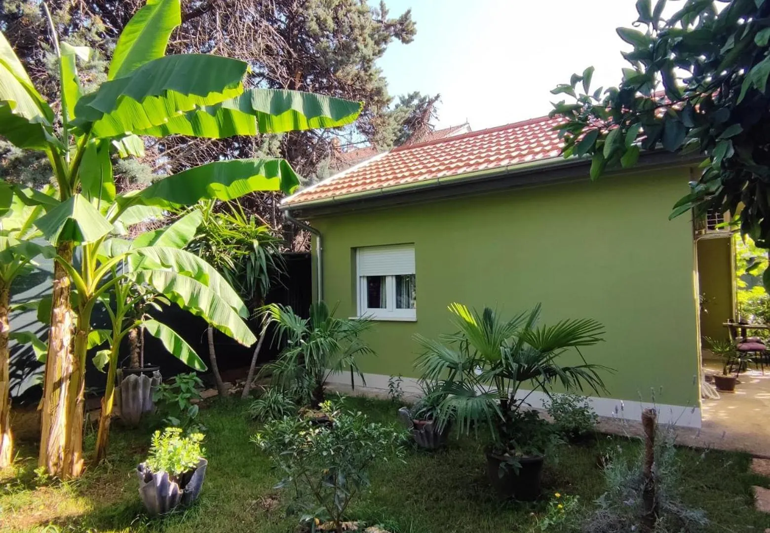Apartamento Green Violet Ryanair'S Special Zadar